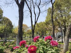 -江南大学(蠡湖校区)