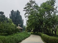 -元大都城垣遗址公园