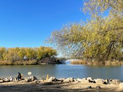 -大兴滨河森林公园