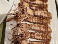 -华盛丰温州大排档(东三环南路店)