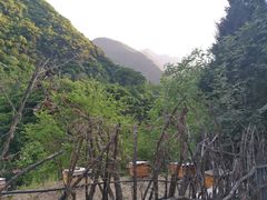 -黑河国家森林公园