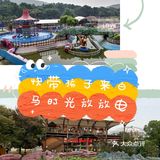 碰碰车海盗船旋转木马|白马时光满足你的童话情结