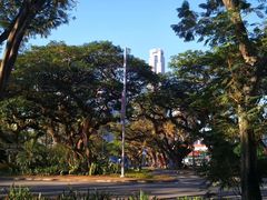 -新加坡瑞士史丹福酒店