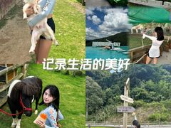 -龙岩森林水乡景区
