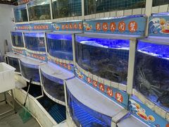 -黄记大闸蟹专卖店·活蟹·醉蟹