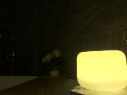 -KINI绮丽·美学肌SPA进口仪器专业店