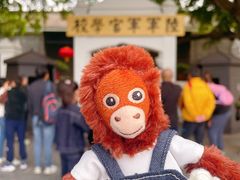 -长洲岛
