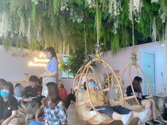 -Husky Go! 哈士奇体验馆·宠物咖啡厅狗咖