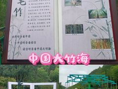 -阿露佳·舌尖上的安吉菜