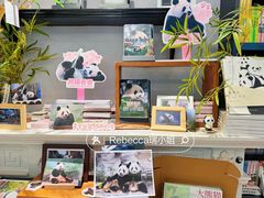 -轩客会(熊猫书店)