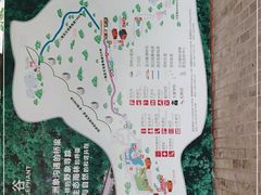 -野象谷景区