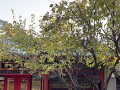 -宫事颐庭·老佛爷贵寿下午茶(颐和园店)