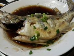 -小天鹅戴斯酒店鲸鲨百汇创作料理