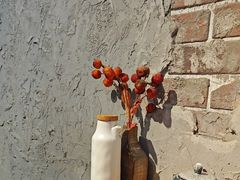 -地二手作鱼汤馄饨(上街里店)