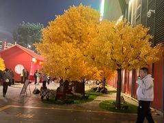 -龙湖杭州滨江天街