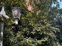 -南通博物苑-崇川人民公园