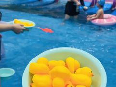 -青岛东方影都融创水世界