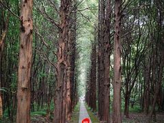 -同里国家湿地公园