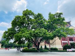 -广州中山纪念堂
