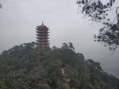 -缙云山景区