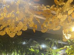 -城墙拐拐火锅(三峡广场黑金冠店)