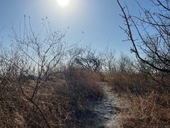 -北京西山国家森林公园