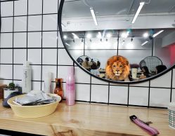 -MOKA SALON