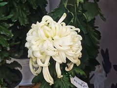 -共青国家森林公园-售票处