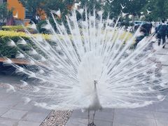 -东方时尚驾校摩托车考试场(东方时尚驾校西区店)