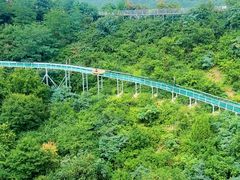 -铜川市金锁关石林