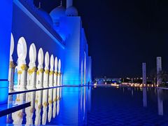 -扎耶德国家博物馆