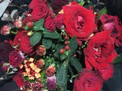 -植物学家的女儿(北马道巷店)