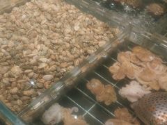 -浩运·海鲜青岛菜·海胆水饺(石老人店)