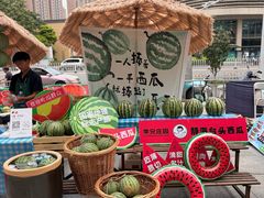 -鹏欣水游城