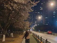 -西北湖绿化广场