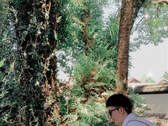 -星巴克(福州三坊七巷店)