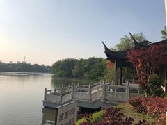 -梅园