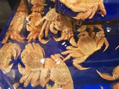 -蟹道乐(道顿堀本店)