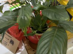 -御亭宫·SPA.按摩足疗头疗养生馆