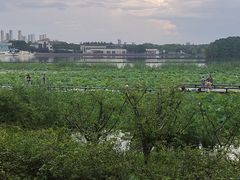 -渤公岛生态公园