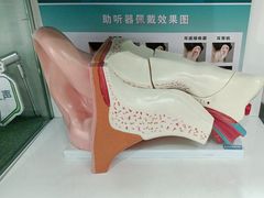 -海之声助听器(跃进南路赤坎店)