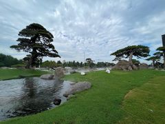 -罗红摄影艺术馆