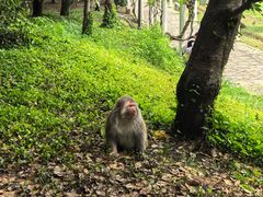 -苏州上方山国家森林公园