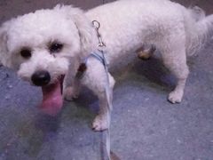 -麦当劳(南京水西门大街店)