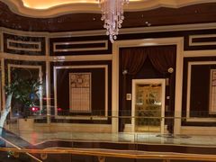 -拉斯维加斯永利酒店