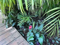 -国家植物园南园