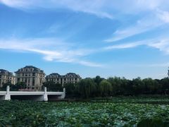 -新江湾城公园