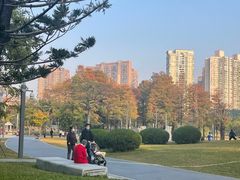 -四海公园(南山区)