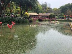 -广州莲花山旅游区