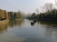 -溱湖国家湿地公园